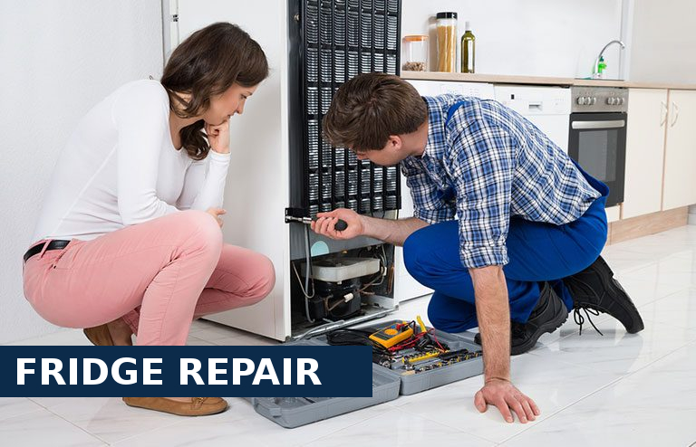 Fridge Repair Coulsdon